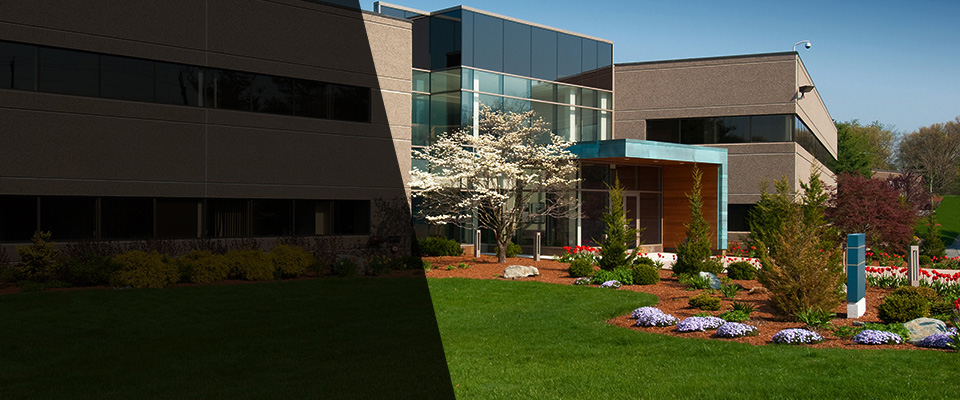 Fleming Island Landscapers