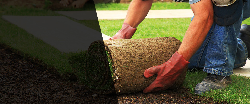 Fleming Island Landscapers